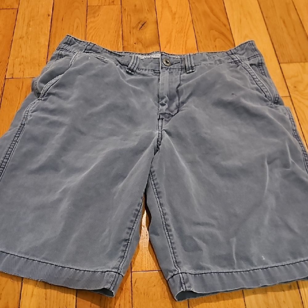 American Eagle Outfitters Men's Blue Flat Front Shorts